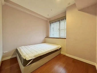 極光琉璃四房平車*獅子王（第7張）