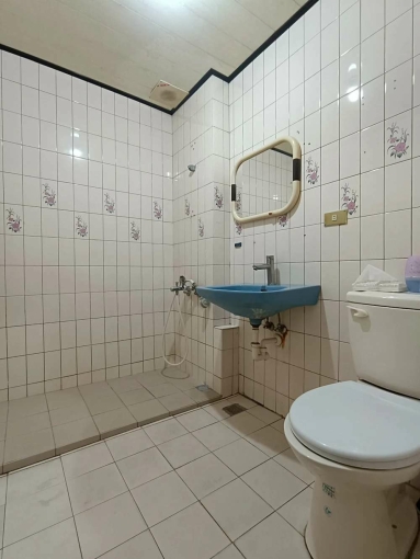 東光社區大三房*獅子王 - Image 14