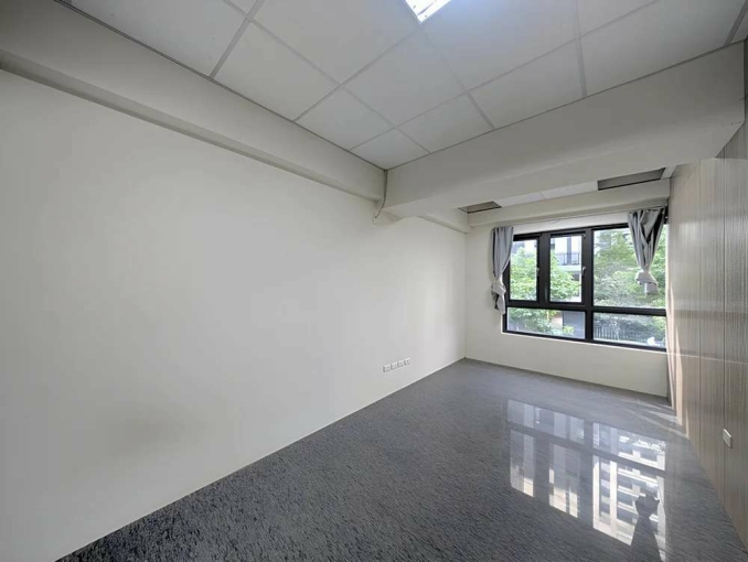 文鼎為美1+2店面*獅子王（第7張）