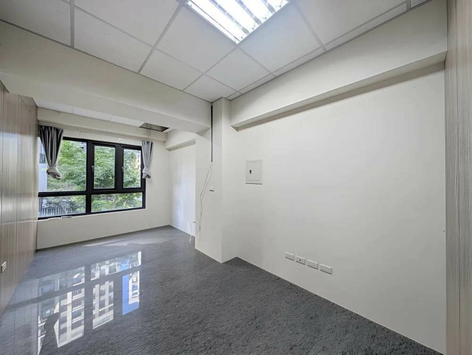 文鼎為美1+2店面*獅子王（第8張）