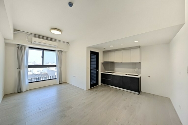 今天之外全新二房平車*獅子王（第1張）