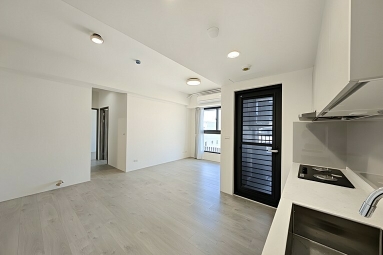 今天之外全新二房平車*獅子王（第4張）