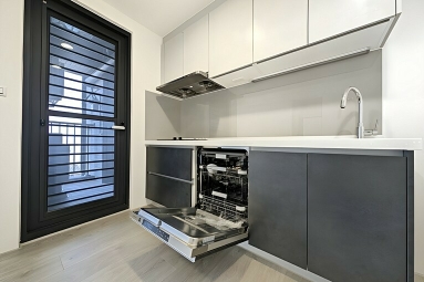 今天之外全新二房平車*獅子王（第3張）