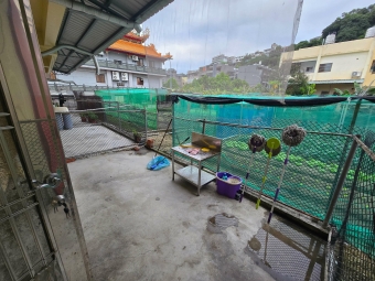 ❤️豐原超優質透天❤️4房2廳2衞🔸️前後庭園🔸️可租補🔸️入戶籍🔸️可寵 - Image 21