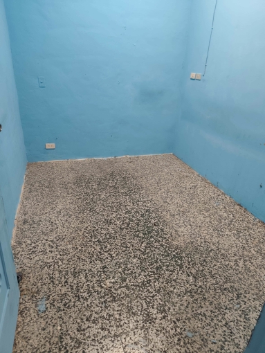 整層住家，可養寵物（第5張）