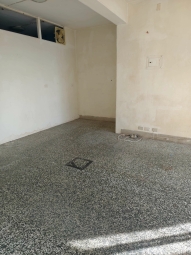 整層住家，可養寵物（第2張）