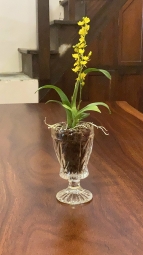 新竹市近科學園區寧靜通天（第4張）