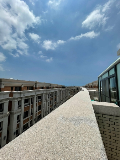 *新光田特區*全新裝潢電梯套房(第12張)