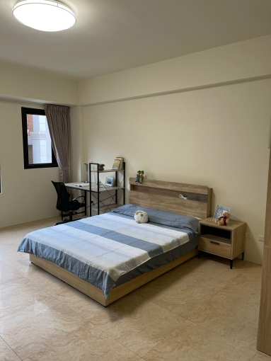 *新光田特區*全新裝潢電梯套房(第3張)