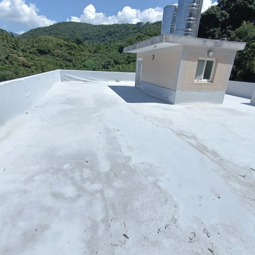 天母幽靜景觀別墅（第12張）