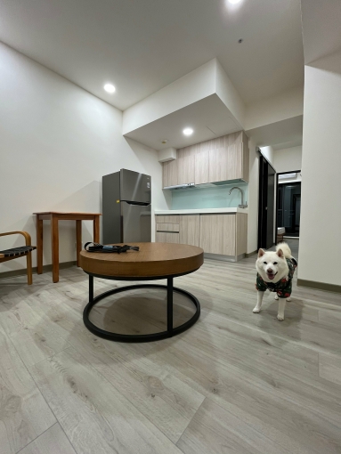 稀有可寵全新電梯大樓（第1張）