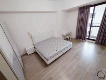 西屯逢甲/大坪數/高級電梯3房+平面車位/泡澡浴缸/可租補（第8張）