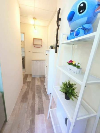 🧡請加賴🧡可貓咪🧡獨洗凸窗曬衣🧡租屋補助🧡秒殺物件🧡（第5張）