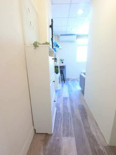 🧡請加賴🧡可貓咪🧡獨洗凸窗曬衣🧡租屋補助🧡秒殺物件🧡（第3張）