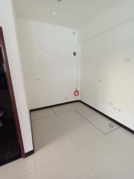 橘子🍊馬到成功🍊新社全新電梯邊間透天🍊含管含電梯保養（第3張）