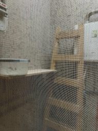 丹鳳捷運站旁（第13張）