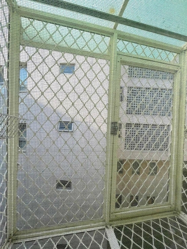 獨洗獨曬🍊租屋補助🍊稀有可貓🍊飲水機（第8張）