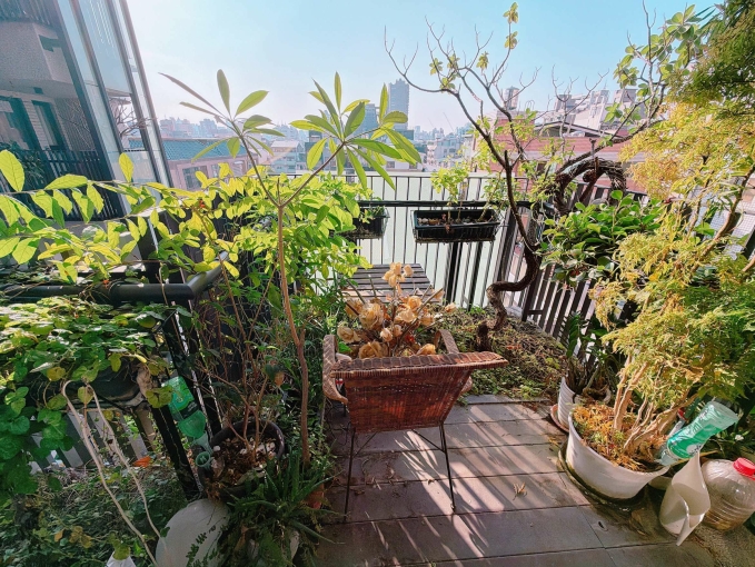 審計新村勤美草悟道~慶仁之間3房平車（第6張）