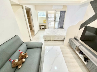 ✨超高級裝潢✨可貓✨可租補✨子母車✨超大衣櫃✨近逢甲（第2張）