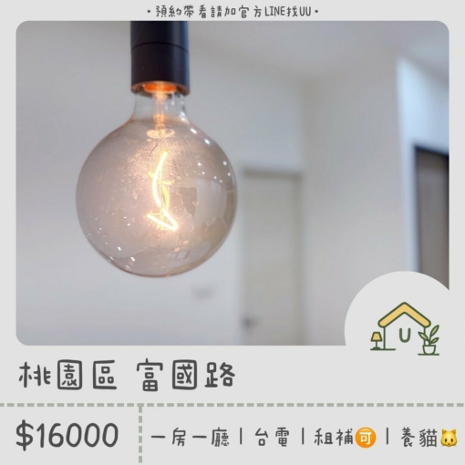 近藝文特區｜南崁｜一房一廳｜台電｜垃圾代收｜租補🉑限養貓（第1張）