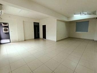 近中華路小資辦公室*獅子王（第2張）