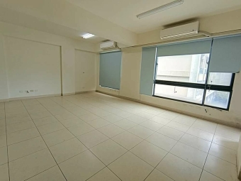 近中華路小資辦公室*獅子王（第1張）