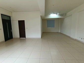 近中華路小資辦公室*獅子王（第3張）