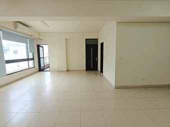 近中華路小資辦公室*獅子王（第4張）