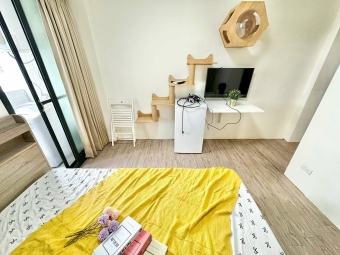 🔥西屯貓咪樂園🔥陽台獨洗🔥可租補🔥近逢甲 - Image 16