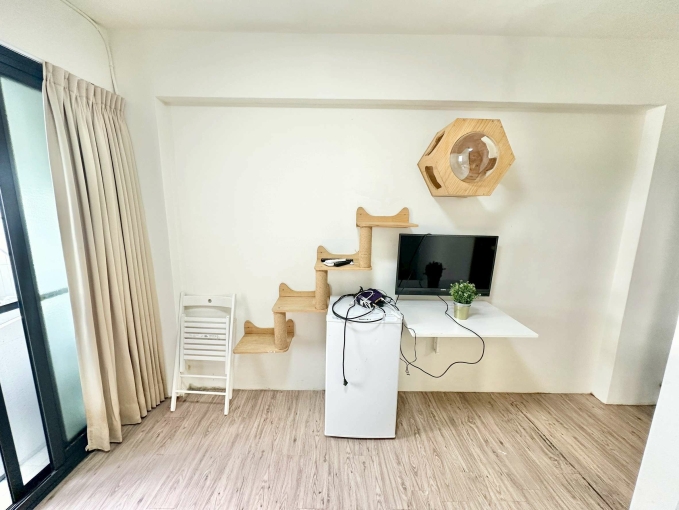 🔥西屯貓咪樂園🔥陽台獨洗🔥可租補🔥近逢甲 - Image 5