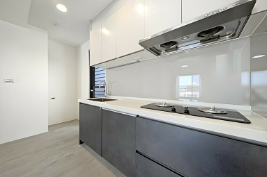 今天之外全新寬敞三房平車*獅子王（第4張）