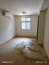 信義樹海（第6張）