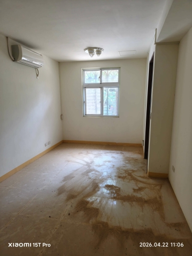 信義樹海（第6張）