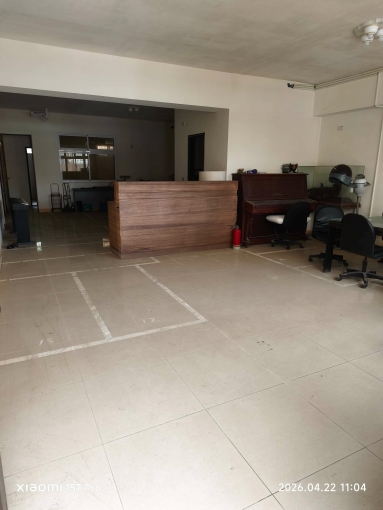 信義樹海（第3張）