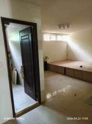 信義樹海（第5張）