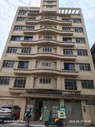 信義樹海（第1張）