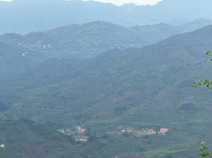 適合情侶（第2張）