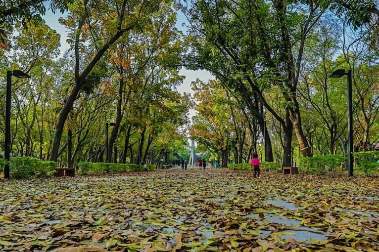 開窗,就是 95 公頃的森林公園 | 捷運、公園、大三房(第3張)