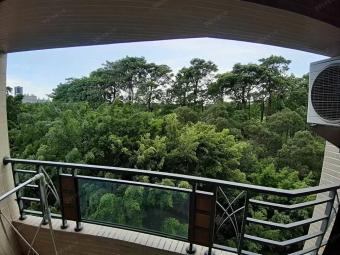 開窗，就是 95 公頃的森林公園 | 捷運、公園、大三房（第2張）