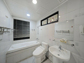 環球市四室附平車*獅子王（第11張）