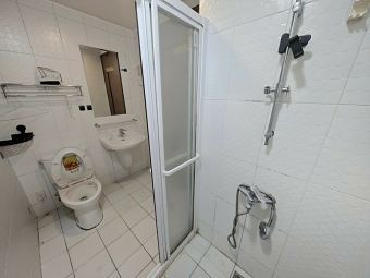 環球市四室附平車*獅子王（第10張）