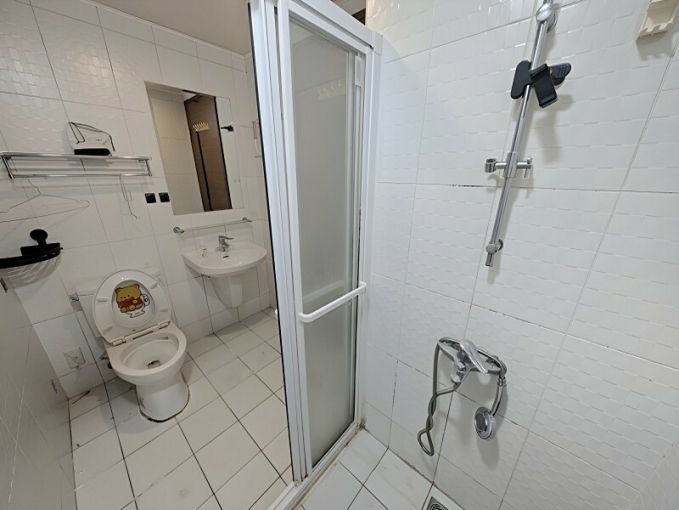 環球市四室附平車*獅子王（第10張）