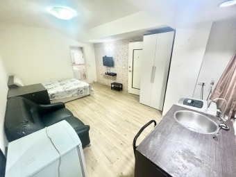 可租補☆可貓☆大間套房☆健康爬梯（第2張）