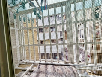 一起來健身💕可雙租補✅可寵可狗🐈獨洗獨曬（第7張）