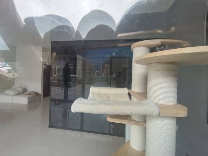 A10綻臨路大面寬店面(第3張)