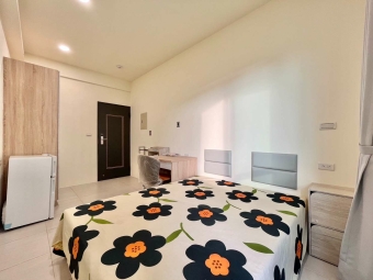 🌳可雙租補★⭐電梯💖大陽台💖獨洗⭐乾溼分離🌳（第3張）