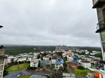 兆基社會住宅🏡可租補~海景戶可毛孩可神明桌佛朗明哥（第12張）