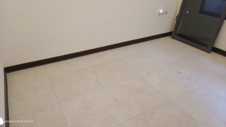 A18站桃園機場新二廳二房吉屋出租（第8張）