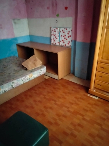 三合院平房出租（第3張）