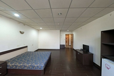 (可租補)勝利路平價寬敞套房*獅子王（第2張）